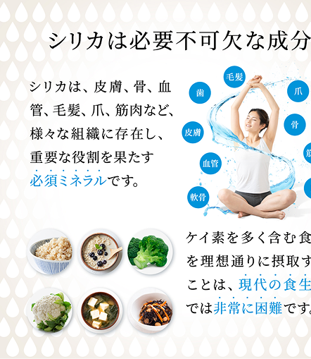 ラインナップ