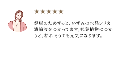 いづみシリカ体験談